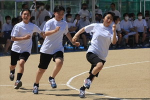 IMG 1093 R