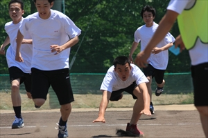 IMG 1182 R