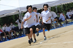 IMG 1199 R