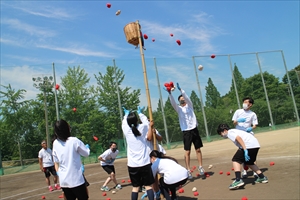 IMG 4829 R