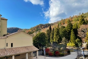 34CC8373376540949851C8FEDF81CD16 R