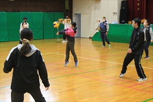 IMG 0248 R